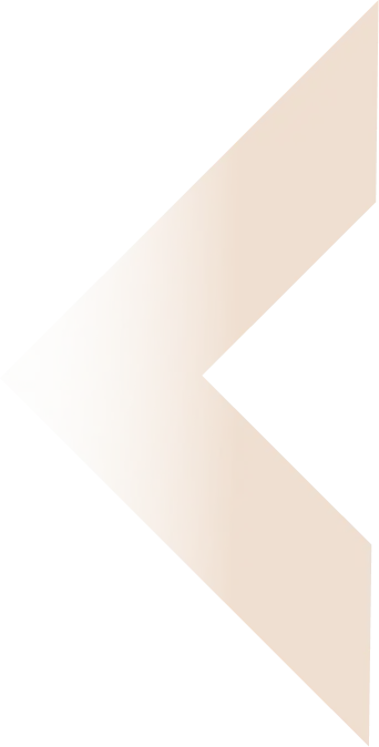 Left Arrow Shape